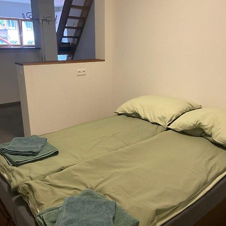 Gemuetliche Ferienwohnung Evieline In Todtnau Dış mekan fotoğraf